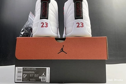 Twist CT8013- 12 Retro 9210 Classic 768 Jordan 0816